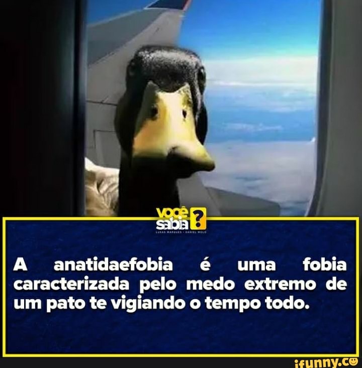 saia
A anatidaefobia é uma fobia caracterizada pelo medo extremo de um pato te vigiando o tempo todo.
