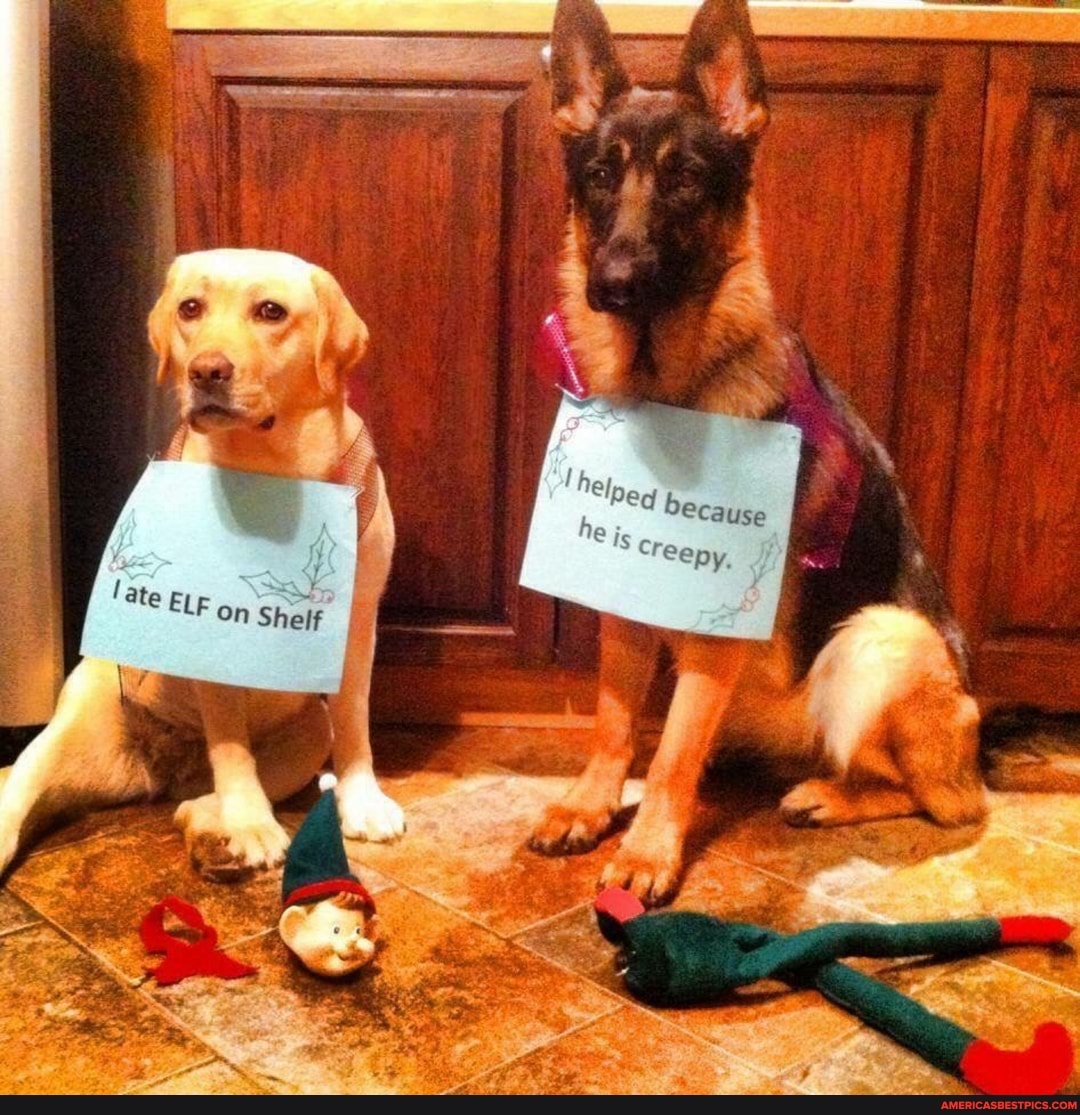 because
creepy,
if
late ELF on 'Shake