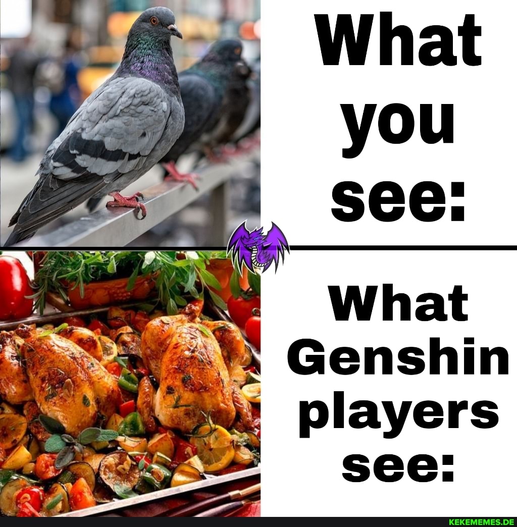 What you see: What Genshin players see: