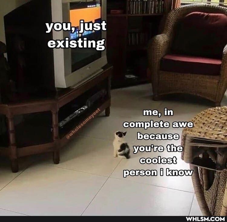 you, just existing
me, in complete awe because you're the
Coolest}