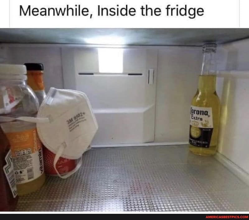Meanwhile, Inside the fridge
=I