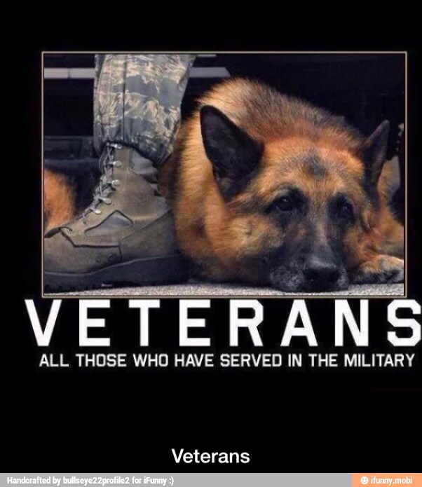 VETERANS
ALL THOSE WHO HAVE SERVED IN THE MILITARY
Veterans - Veterans