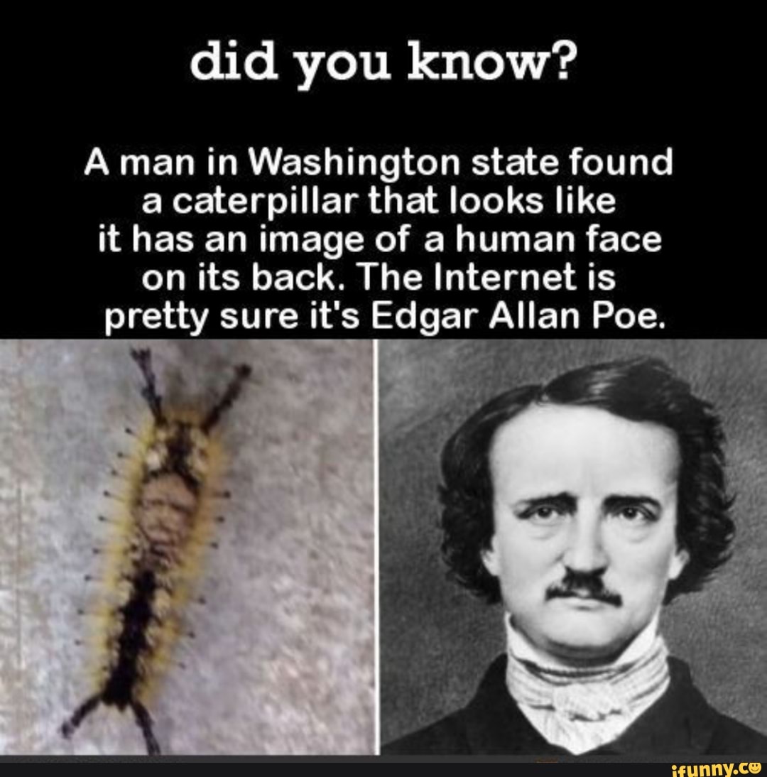 Found state. Did you know. Caterpillar founder Boston.