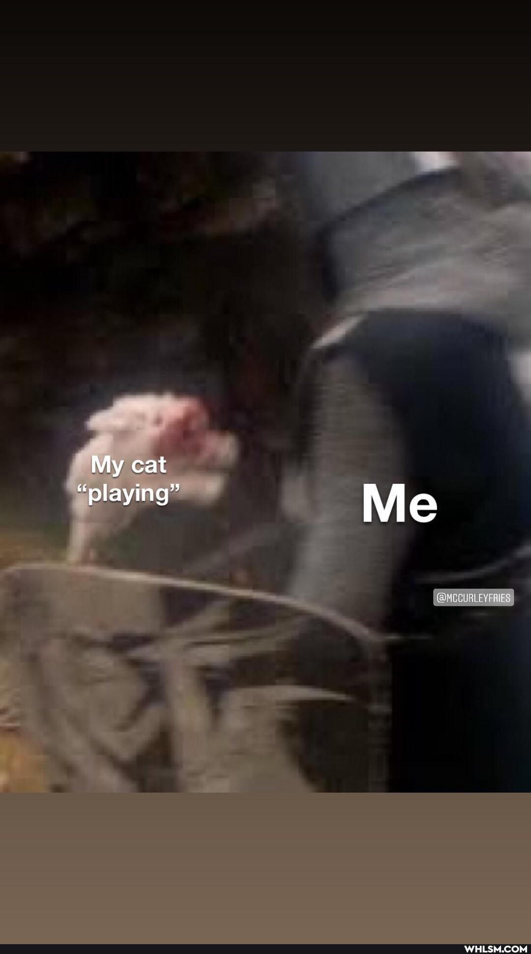 My cat
"playing" Me
eMUEOLLY PILE