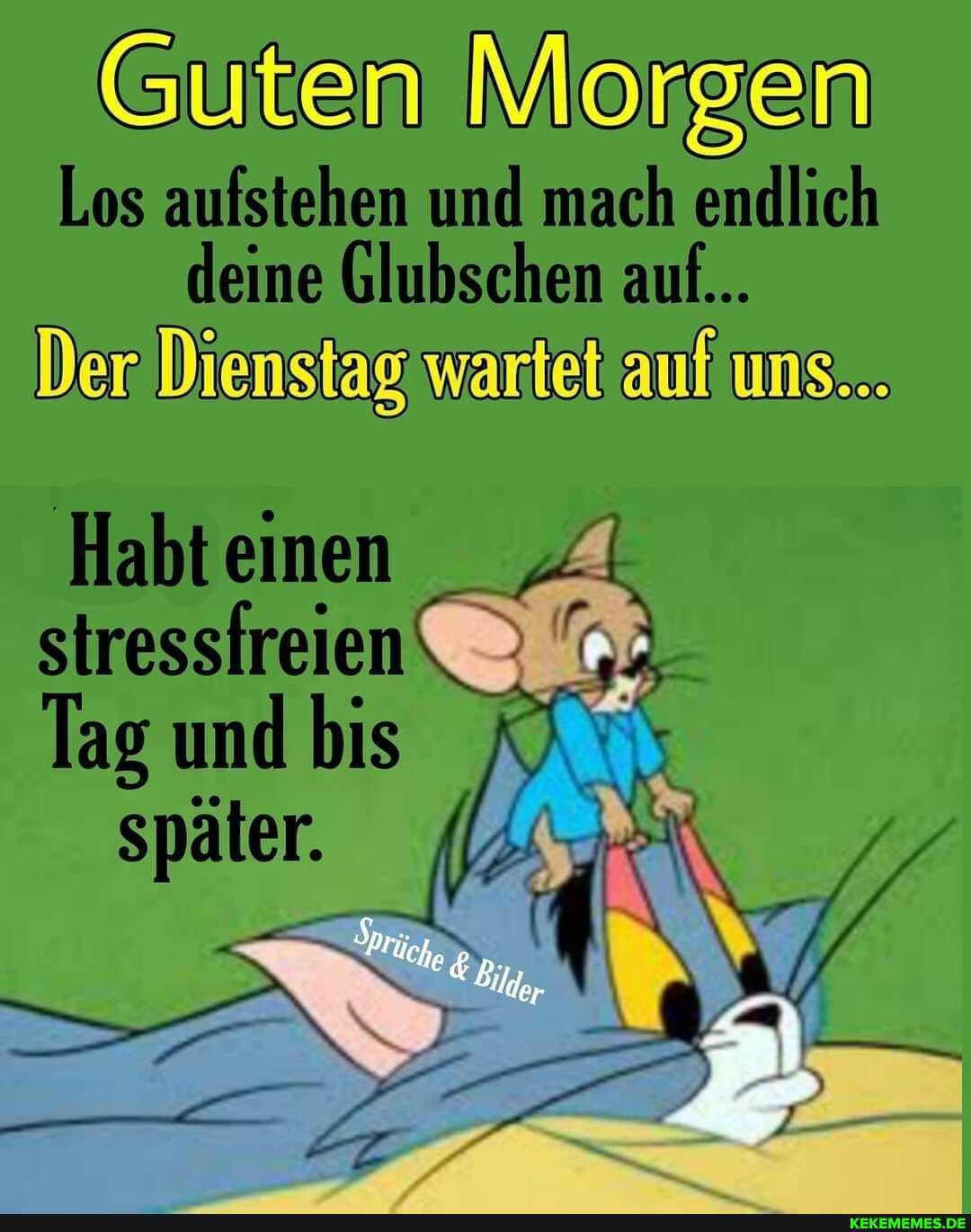 Guten Morgen
Los aufstehen und mach endlich eine Glubschen auf...
Der Diensiag wariet ms...
Habt einen stressfreien
Tag und bis
später. Ks
