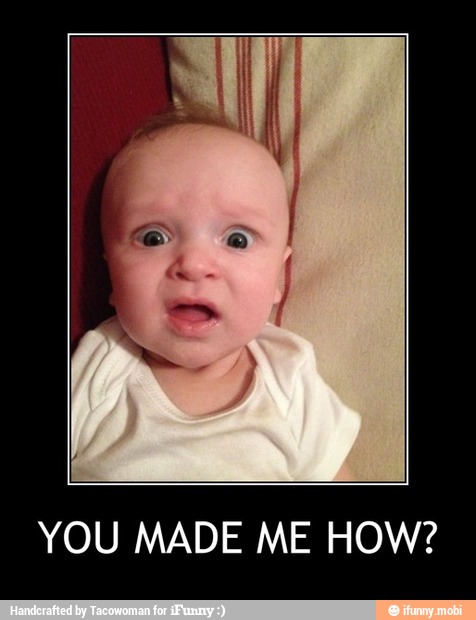 YOU MADE ME HOW? - YOU MADE ME HOW?