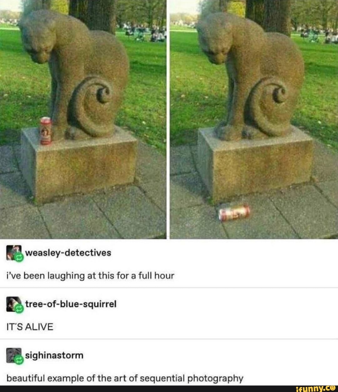 woasiey-detectives
i've been laughing at this for a full hour
BB tree-of-biue-squirrel
ITS ALIVE
sighinastorm
beautiful example of the art of sequential photography