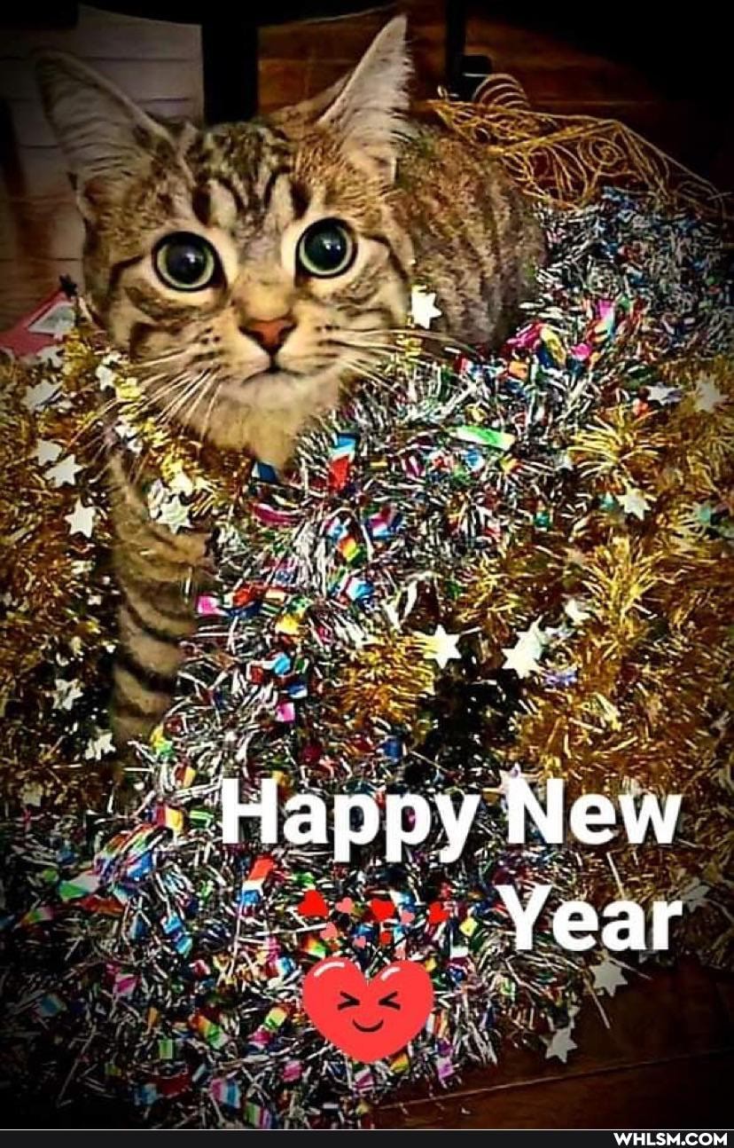 Happy New
Year
