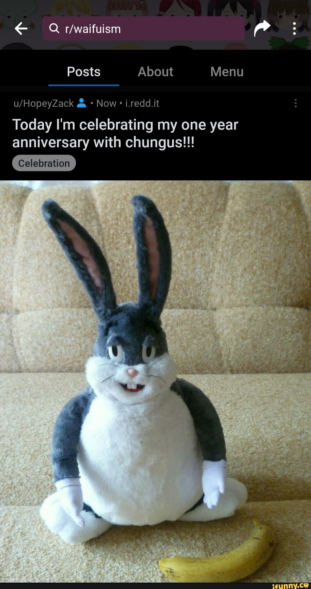 Today I'm celebrating my one year
anniversary with chungus!!!
Celebration