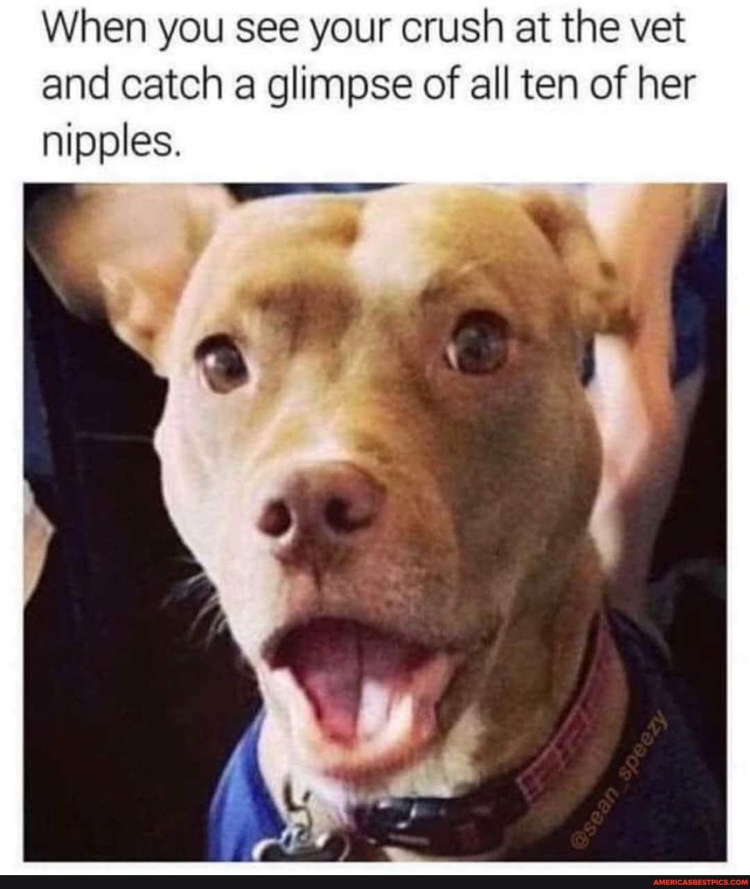When you see your crush at the vet and catch a glimpse of all ten of her nipples.