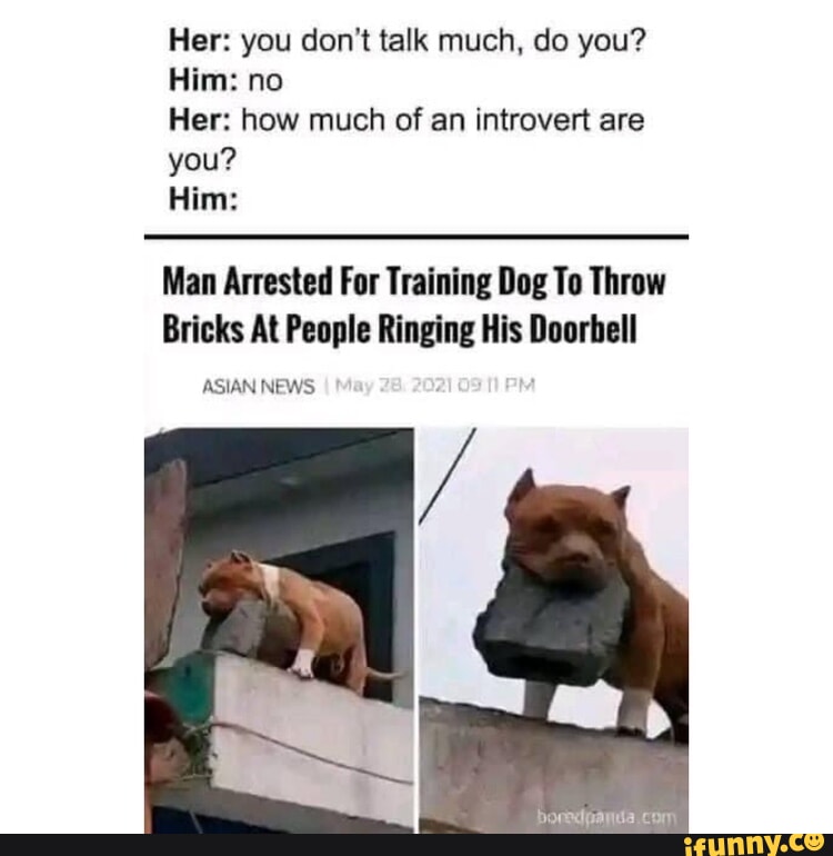 Animals memes memes. The best memes on iFunny