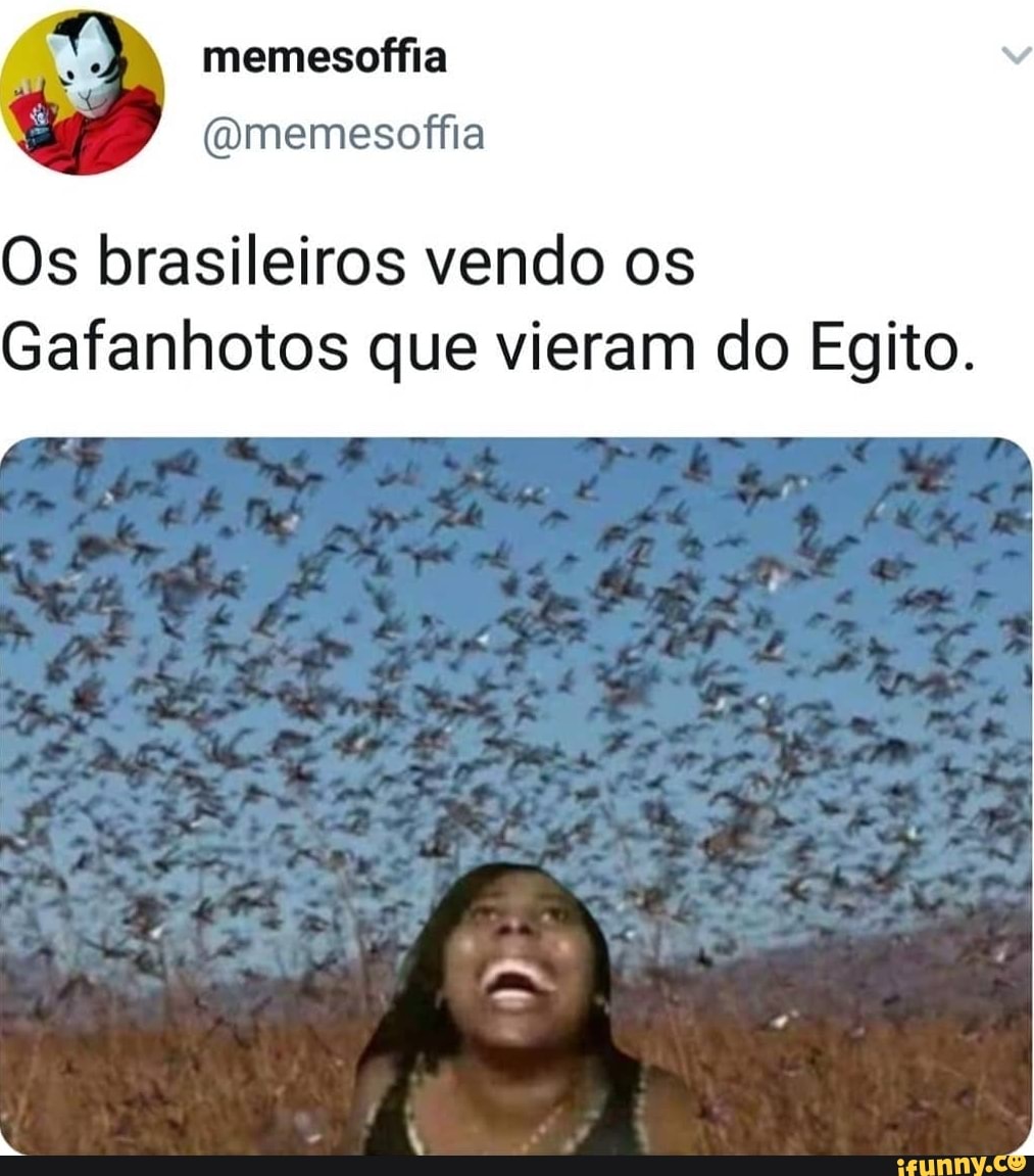 memesoffia
@memesoffia
Os brasileiros vendo os
Gafanhotos que vieram do Egito.