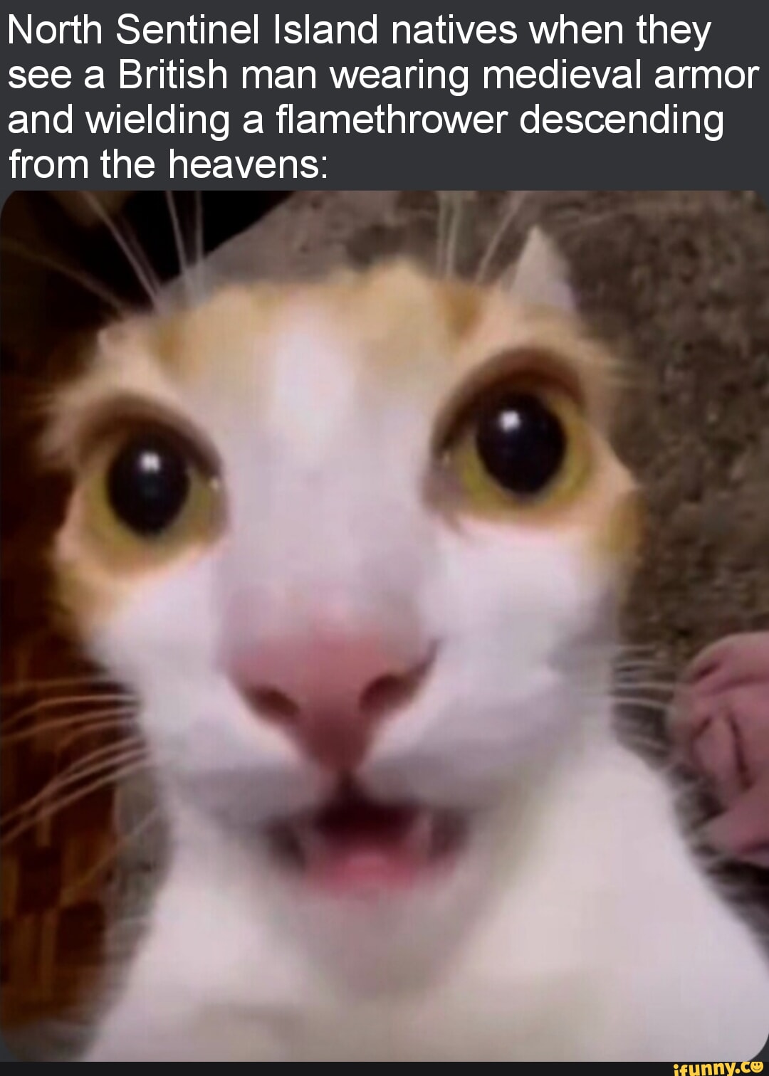 Video memes wspppmiva by themourningwood ifunny