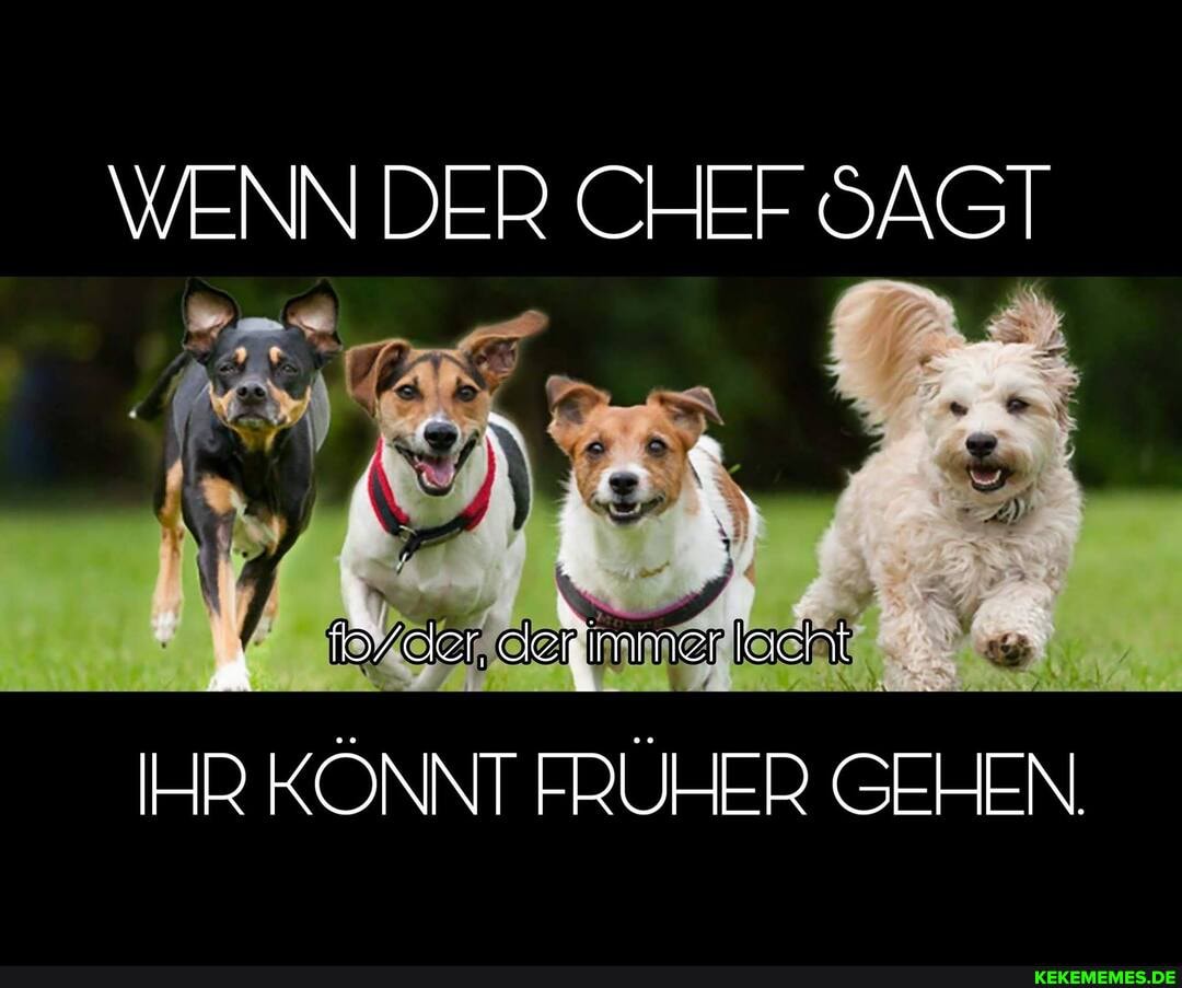WENN DER CHEF SAGT
IHR KÖNNT FRÜHER GEHEN.
