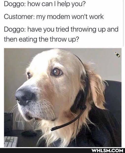 Doggo: how can I help you?
Customer: my modem won't work
Doggo: have you tried throwing up and then eating the throw up?