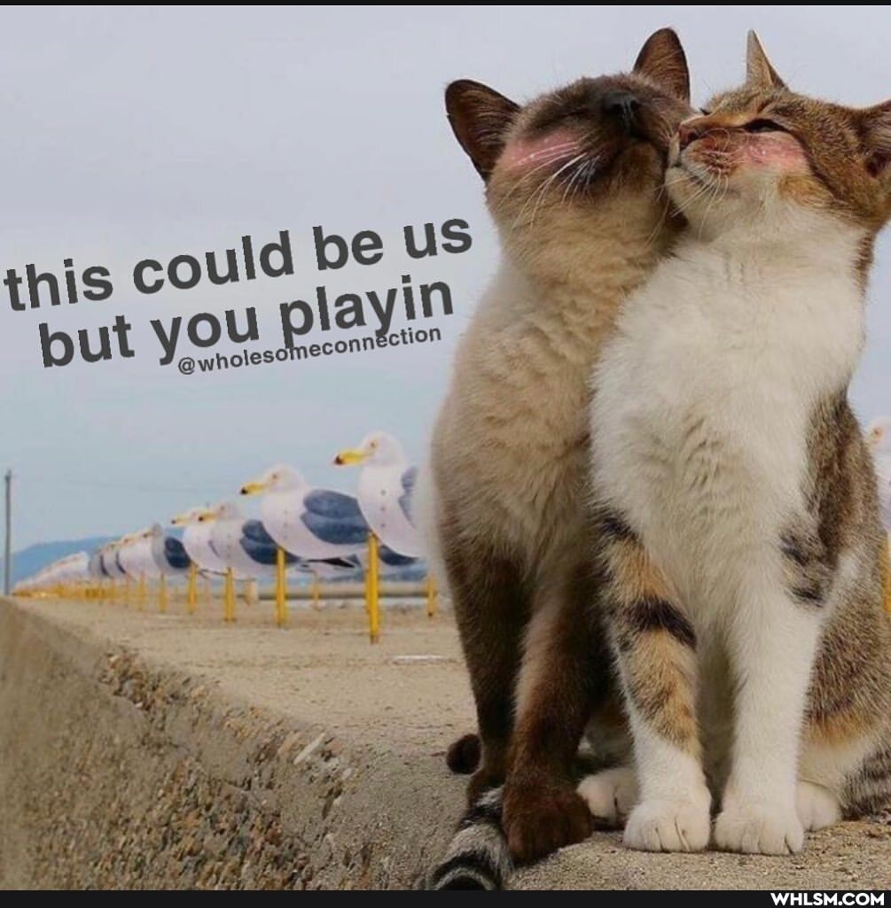 this could be uS ut you playin)