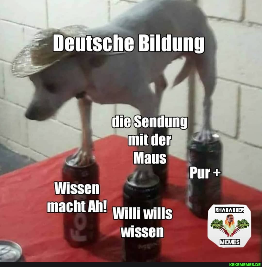 Deutsche Bildung
ie Sendung mit der
Maus
Pur +
Wissen
macht Ah! wills wissen