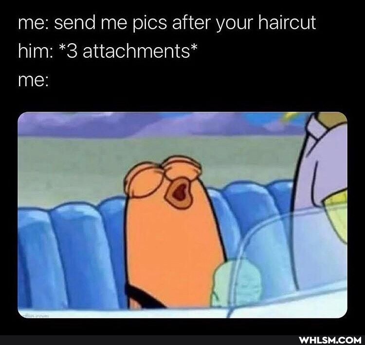 me: send me pics after your haircut him: *3 attachments* me: