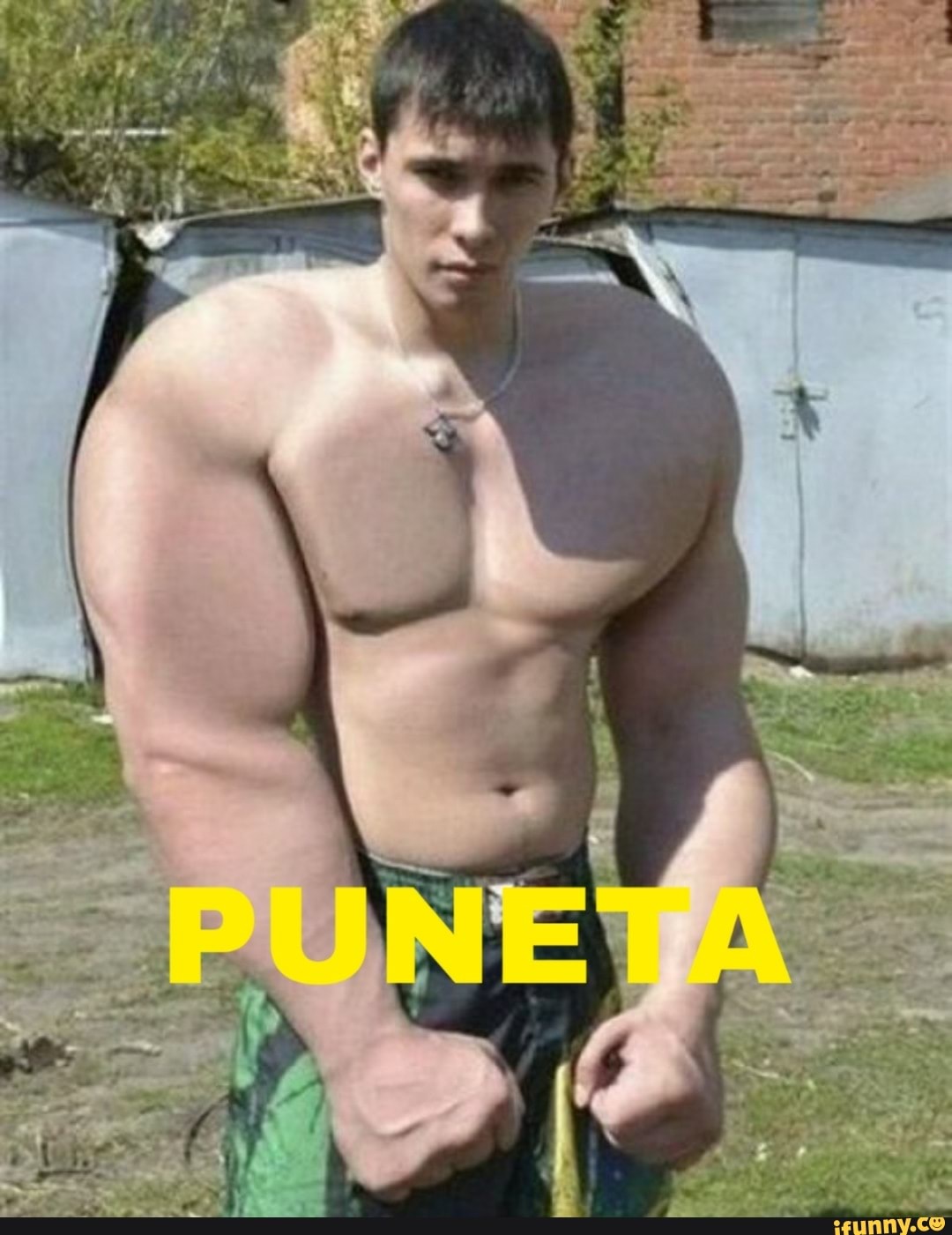 shitpost, shitpostbr, tendência, destaque, coletivo, arukobi, comentarios, repub, repost