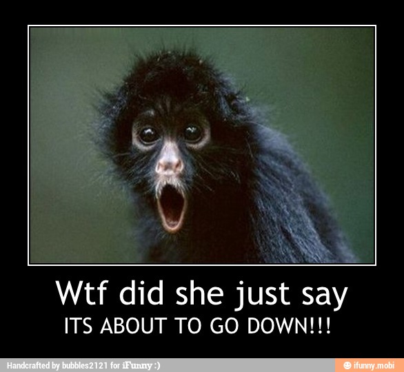 Wtf did she just say
ITS ABOUT TO GO DOWN!!! - Wtf did she just say
ITS ABOUT TO GO DOWN!!!