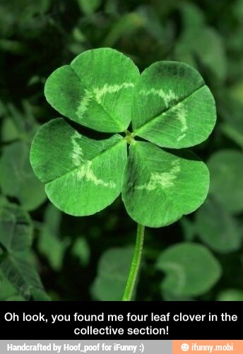 Oh look, you found me four leaf clover in the
collective section! - Oh look, you found me four leaf clover in the collective section!
