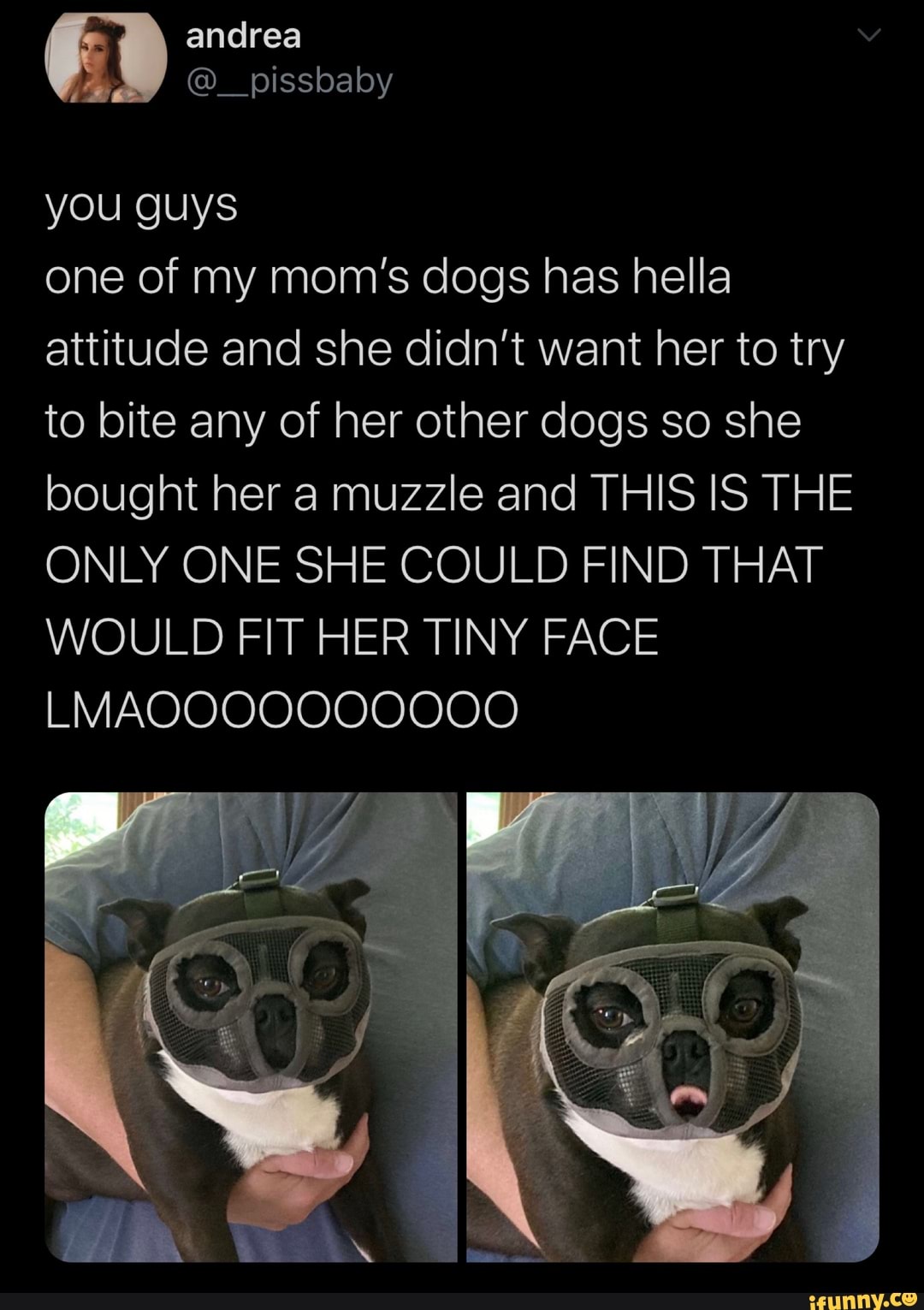 one of my mom's dogs has hella
attitude and she didn't want her to try
to bite any of her other dogs so she
bought her a muzzle and THIS IS THE
ONLY ONE SHE COULD FIND THAT
WOULD FIT HER TINY FACE