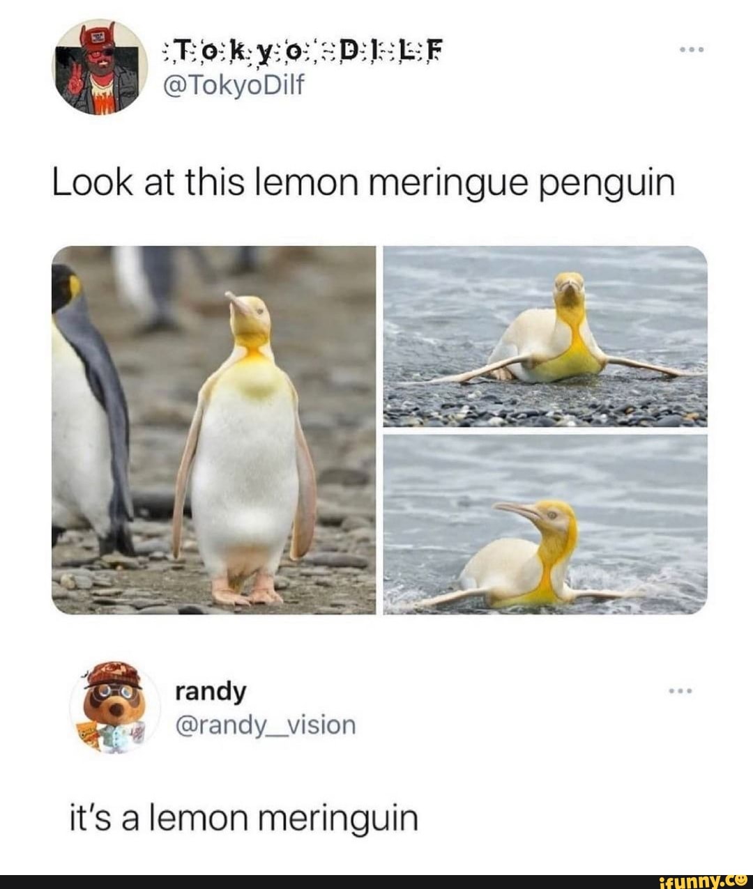 @TokyoDilf
Look at this lemon meringue penguin
randy
it's a lemon meringuin