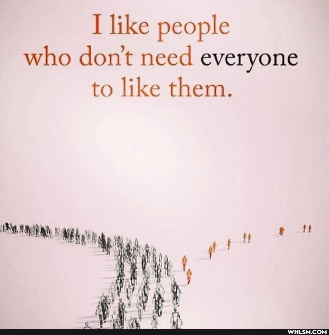 like people who don't need everyone to like them.
ava