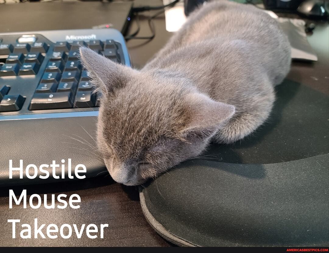 Hostile
Mouse
Takeover