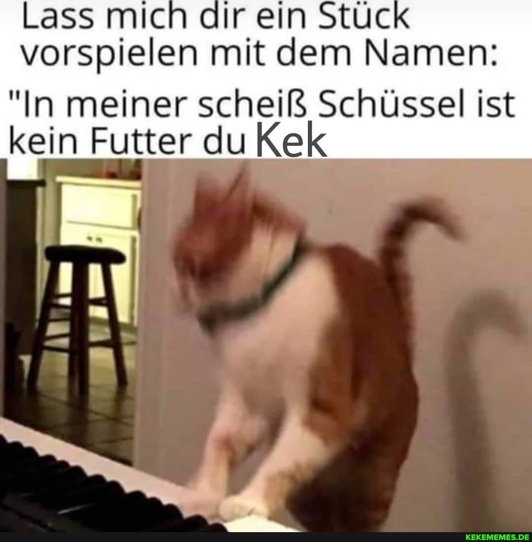 Lass mich dlir ein StÜck vorspielen mit dem Namen:
"In meiner scheiß Schüssel ist kein Futter du Kek