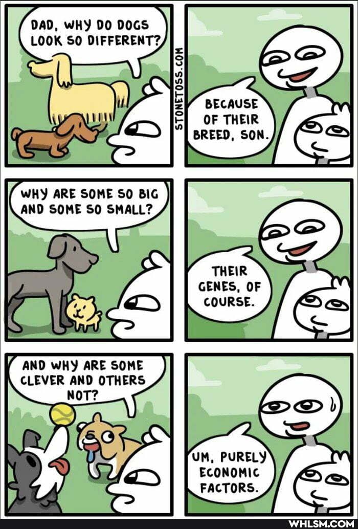 DAD, WHY DO DOGS LOOK SO DIFFERENT?,
BECAUSE
OF THEIR BREED, SON.
WHY ARE SOME SO BIG AND SOME SO SMALL?
ANO WHY ARE SOME
CLEVER AND OTHERS
THEIR GENES, OF COURSE.
UM, PURELY ECONOMIC FACTORS.