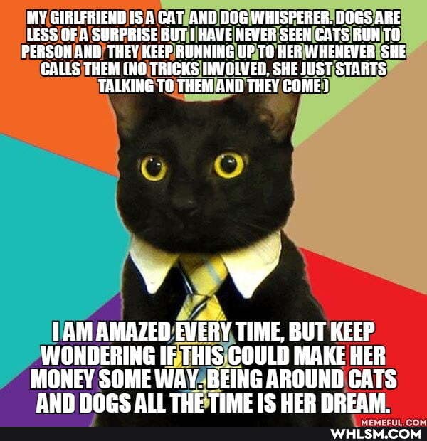 MY GIRLFRIEND IS CAT AND DOG WHISPERER, DOGS ARE LESS OF A SURPRISE BUT I HAVE NEVER SEEH HER CATS RUN TO PERSON AND THEY KEEP RUHHING UP HER WHENEVER SHE CALLS THEM (HO TRICKS INVOLVED, SHE JUST STARTS TALKING TO THEM AND THEY COME!
AM AMAZED EVERY TIME, BUT KEEP WONDERING IF THIS. COULD MAKE HER MONEY SOME WAY. BEING AROUND CATS AND DOGS ALL THE TIME IS HER OREAN.