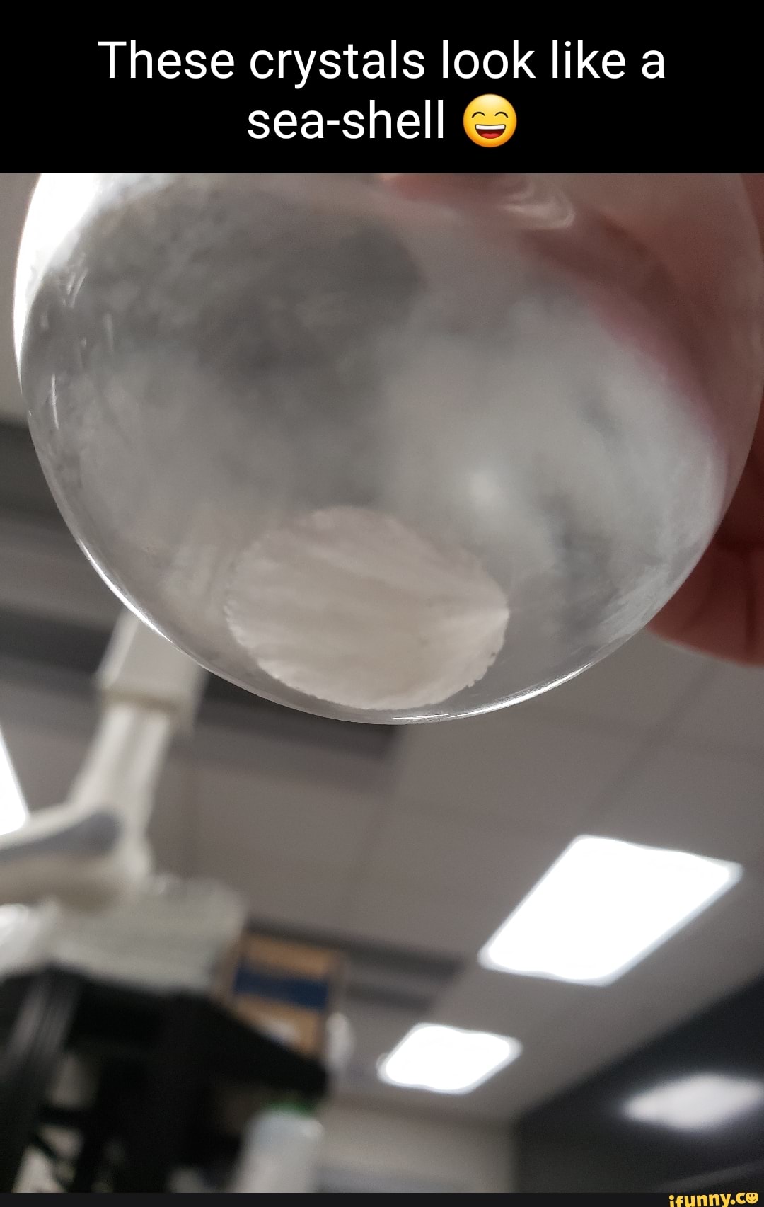 These crystals look like a seashell iFunny These crystals look like a seashell iFunny
