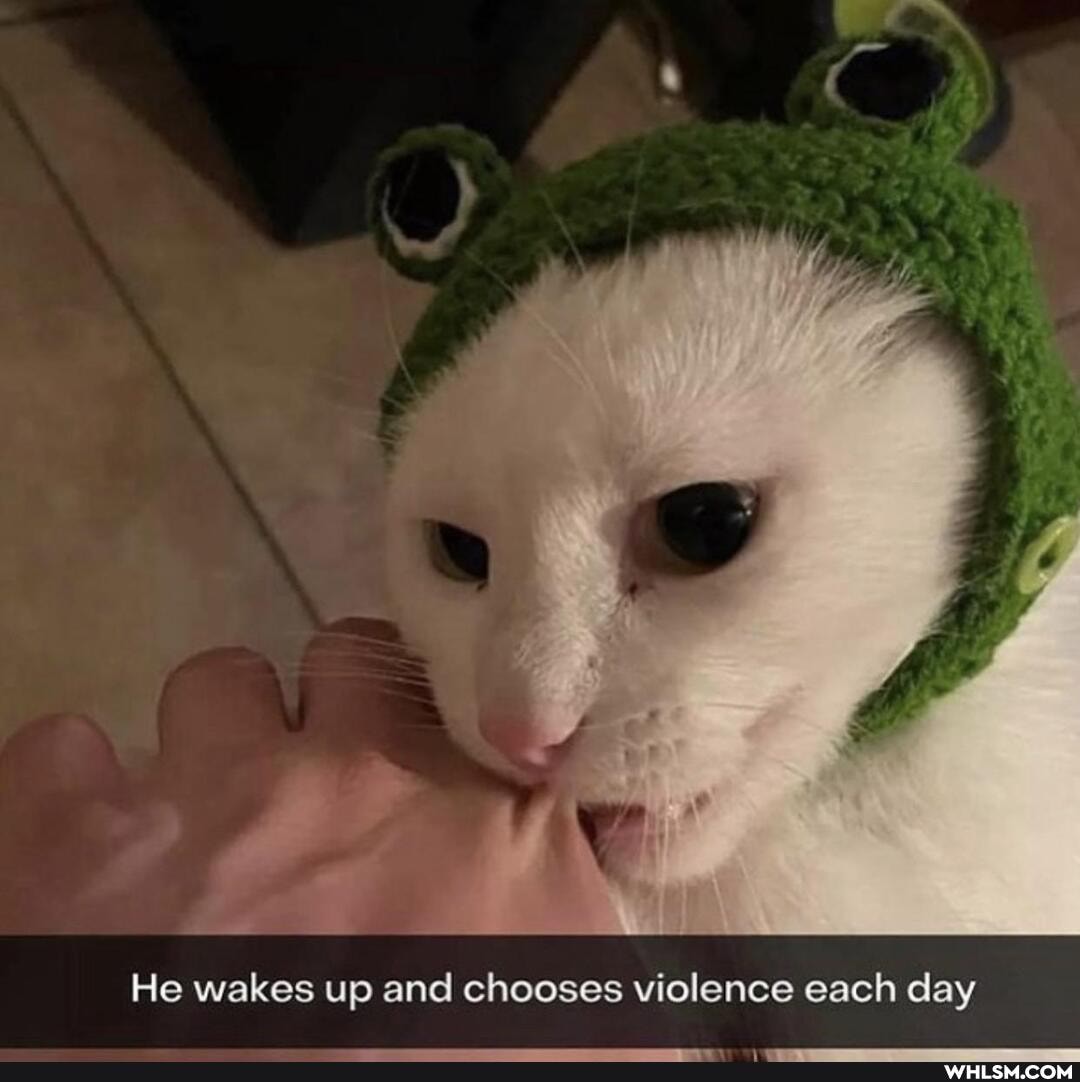 He wakes up and chooses violence each day