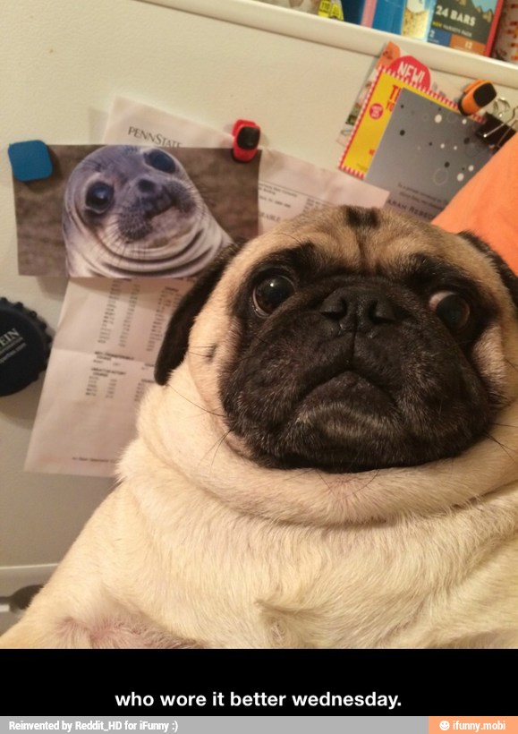 who wore it better wednesday.