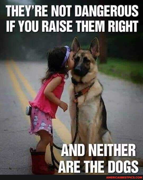 THEY'RE NOT DANGEROUS IF YOU RAISE THEM RIGHT
AND NEITHER APE THE mare