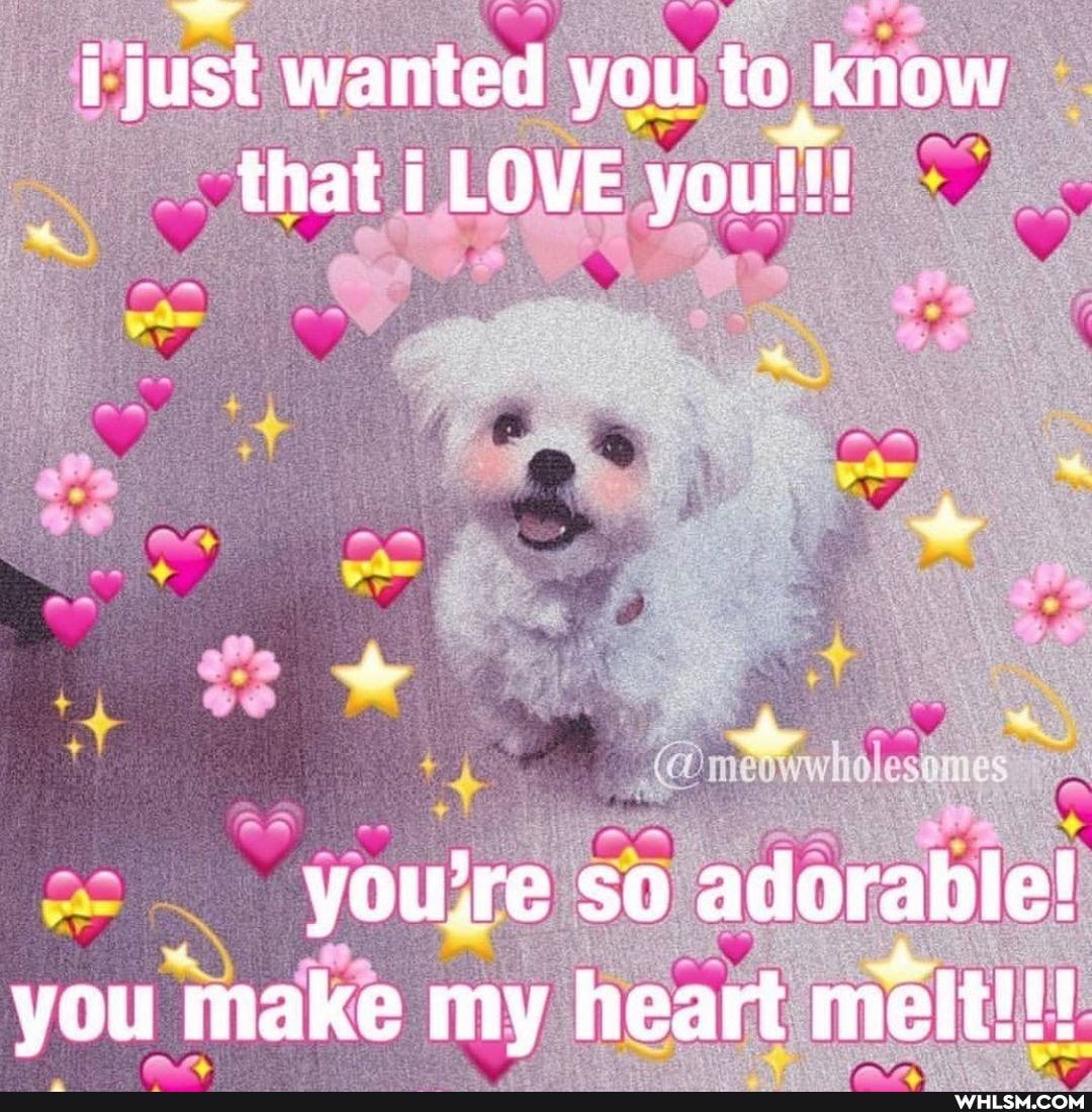 i just wanted you to know that i LOVE youll!
_-youire so adorable! you make my heart melt!!!