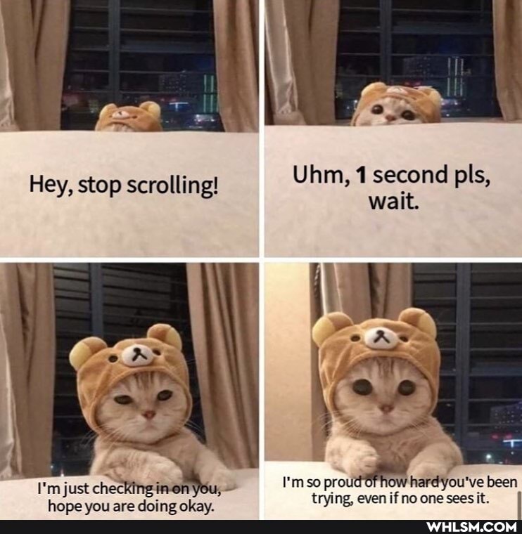 Hey, stop scrolling!
Uhm, 1 second pls, wait.
I'mso proud one y trying. ven iffio one
