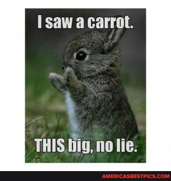saw a carrot.
THIS big, no lie.