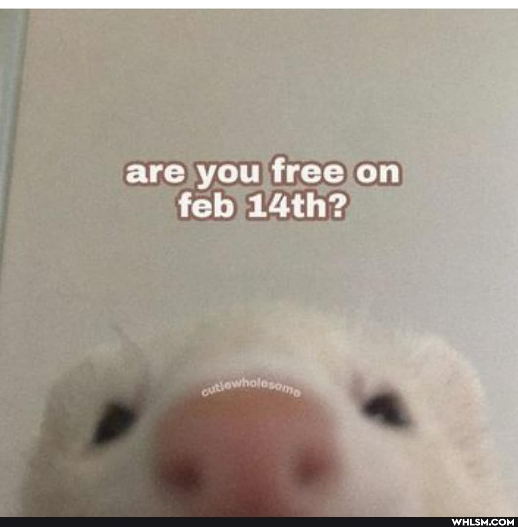 are you free on feb 14th?,