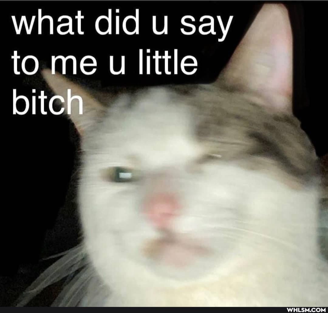 what did u say to me u little bitch