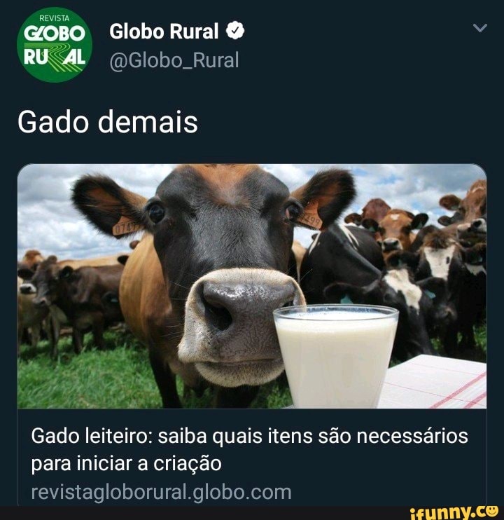 Gado leiteiro: saiba quais itens são necessários
para iniciar a criação
revistagloborural.globo.com