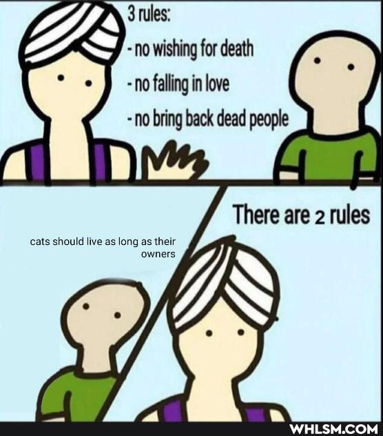 AN 3 tles: no wishing for death
No falling in love no bring back dead people
'There are mules
cats should live as long as their
