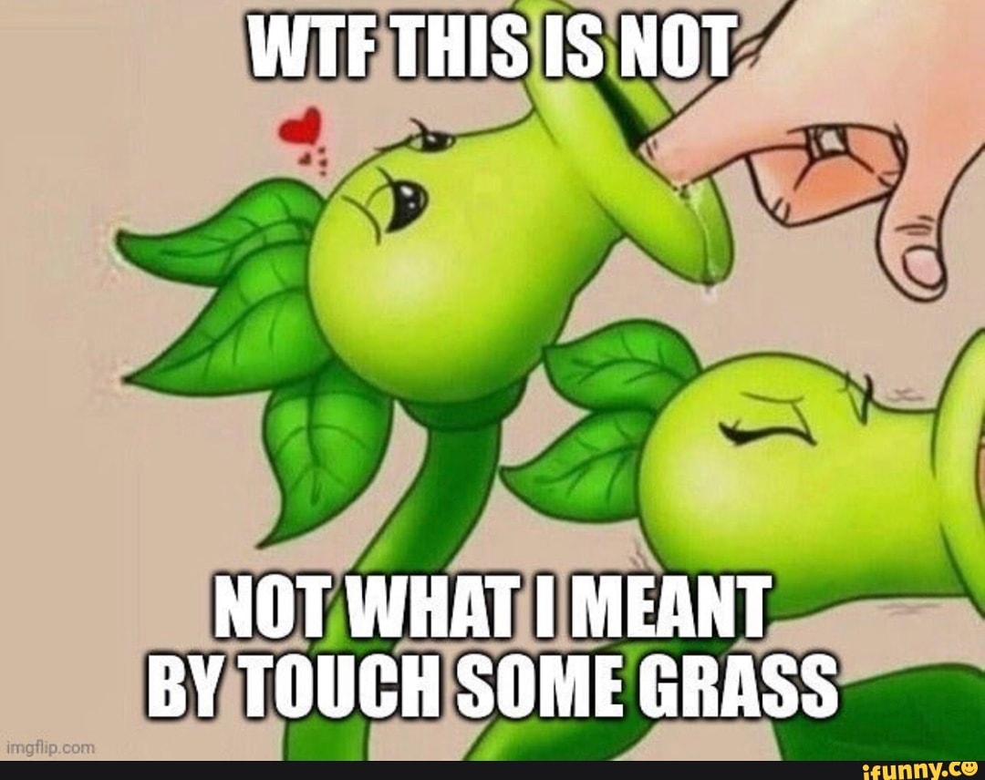 DS on X: @KRoolKountry WHEN THEY TOLD YALL TO TOUCH GRASS THIS IS NOT WHAT  THEY MEANT  / X