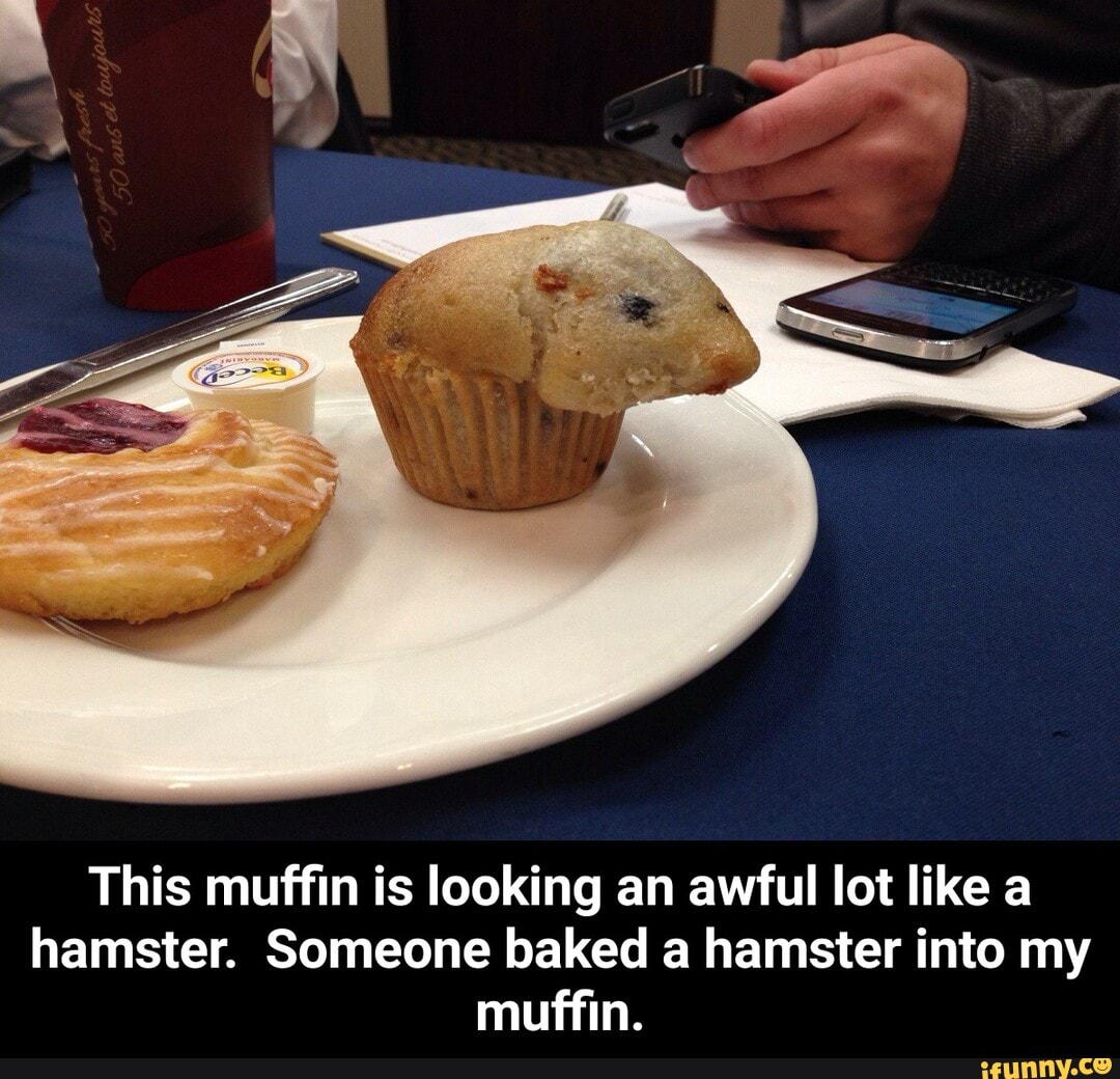 This muffin is looking an awful lot like a hamster. Someone baked a