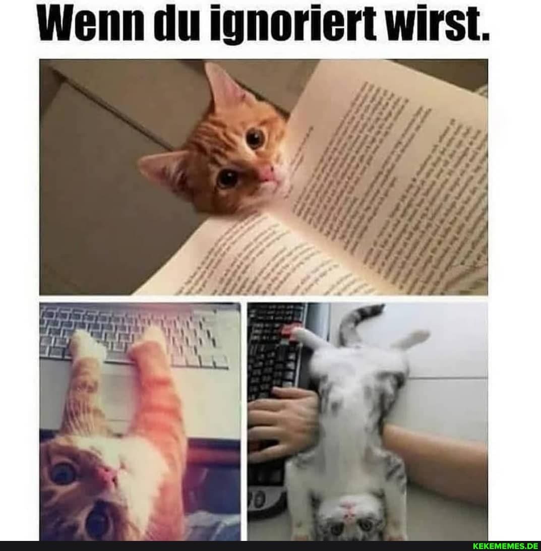 Wenn du ignoriert wirst
ar