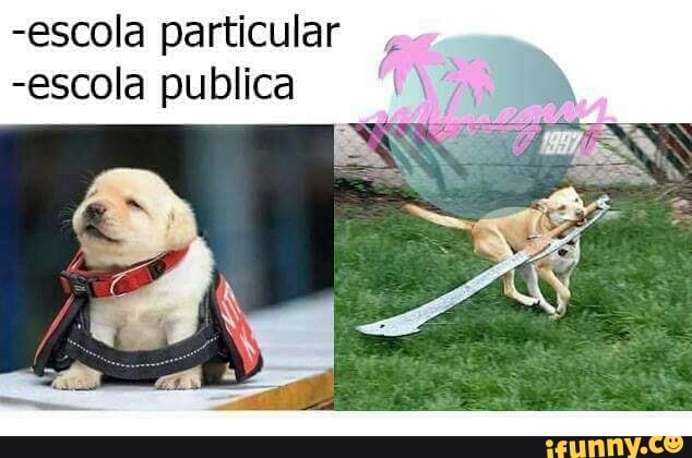 -escola particular
-escola publica
e