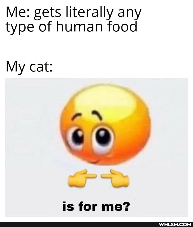 Me: gets literally any type of human food
My cat:
rn
is for me?