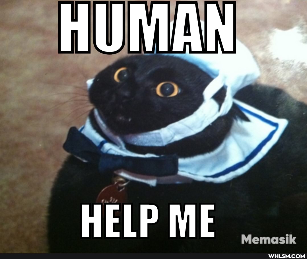 HUMAN,
HELP ME
emasik