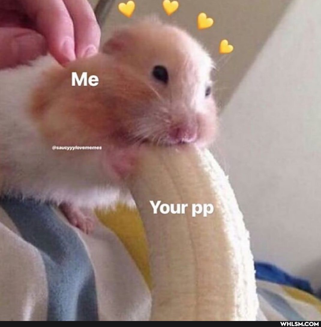 Me
Your pp